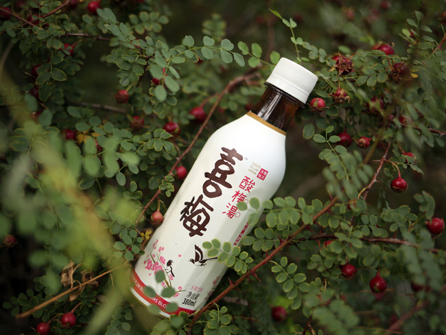 喜梅酸梅汤